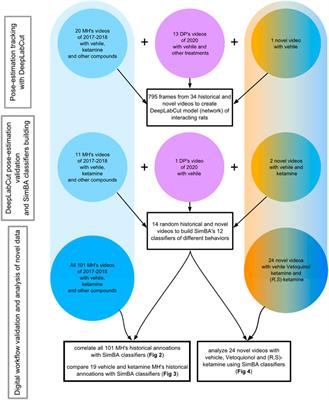 Effects of ketamine on rat social behavior as analyzed by DeepLabCut and SimBA deep learning algorithms